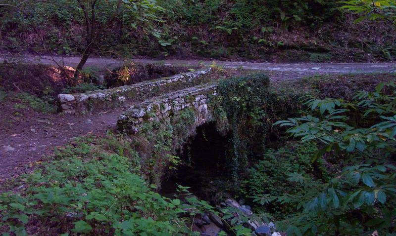''….. Silenzio…..'' - Camaiore