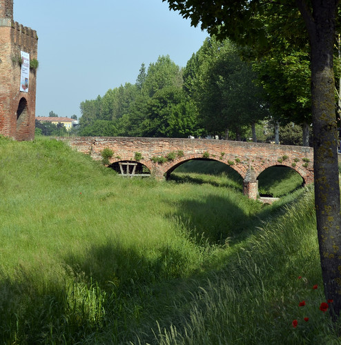 77063-791x800 77063-791x800