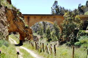 Ponte sul Salso dal sentiero Riserva naturale Monte Capodarso Valle dell’Imera