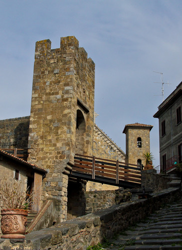 77578-581x800 77578-581x800