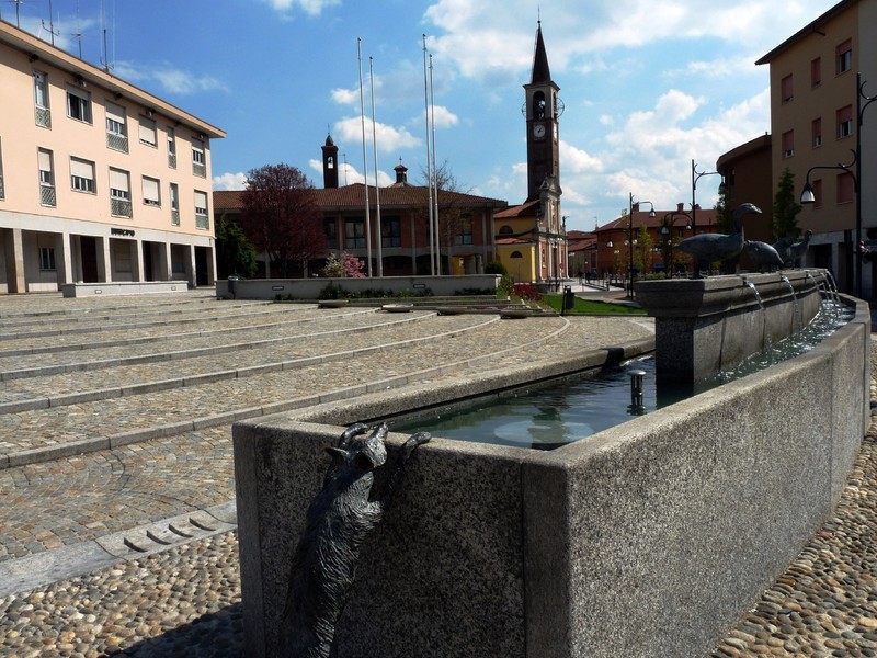 ''La volpe in piazza.'' - Mozzate