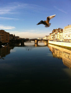 Firenze, Il volo