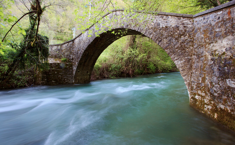 ''movimento'' - Gallicano