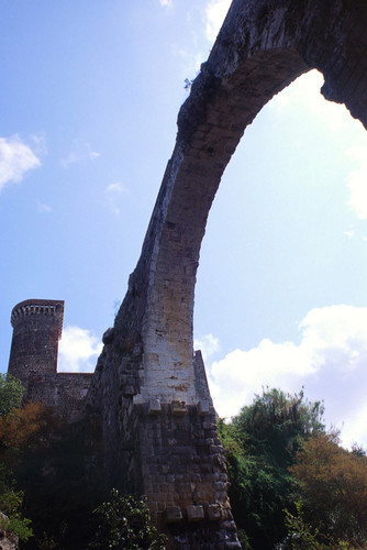 78733-535x800 78733-535x800