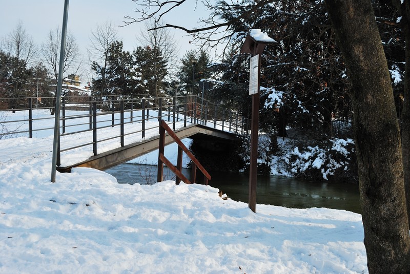 ''dall’inverno scorso'' - Agrate Brianza