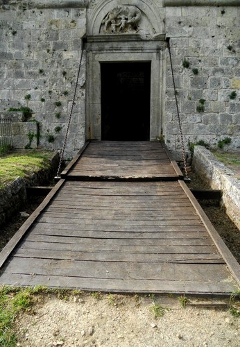 79130-553x800 79130-553x800