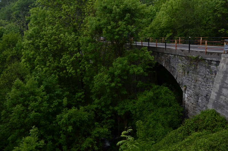 ''immerso nel verde….'' - Civo