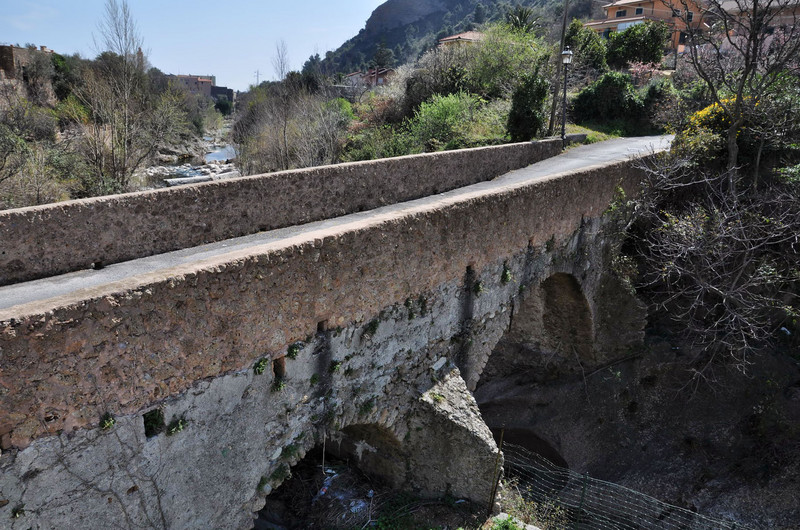 ''tra gli oleandri'' - Cisano sul Neva