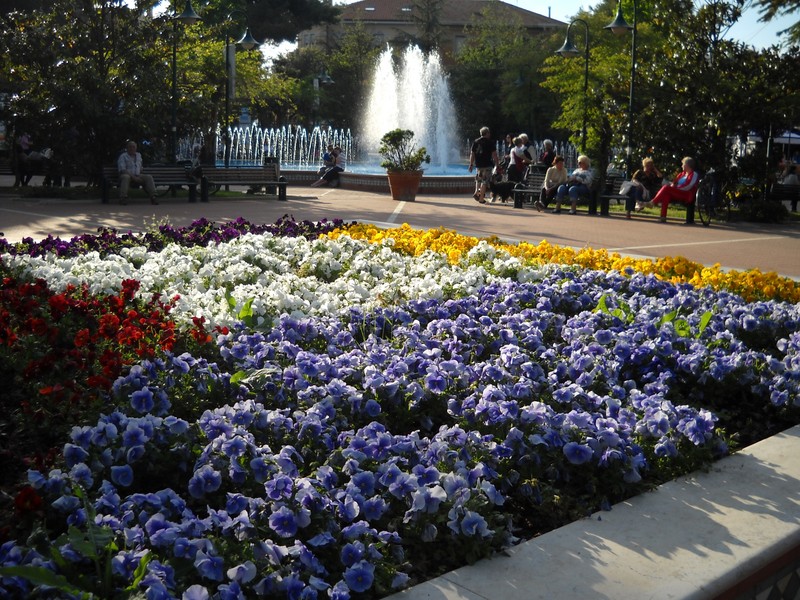 ''Cattolica In Fiore'' - Cattolica