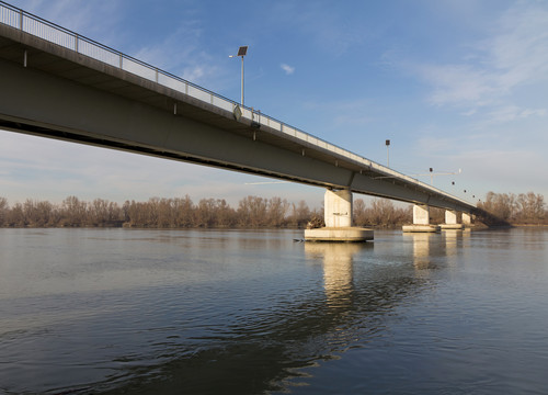 82310-800x577 82310-800x577