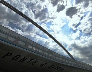 ponte darwin