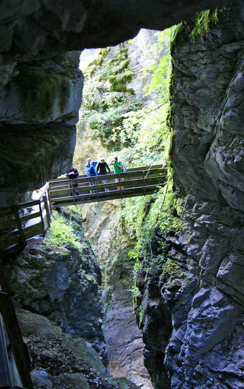 ''Concorrenza all’opera'' - Racines