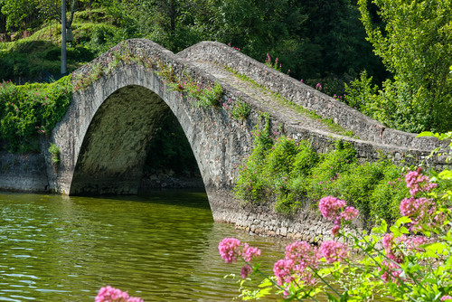 83862-800x535 83862-800x535