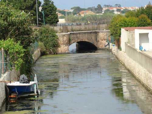 83896-800x600 83896-800x600