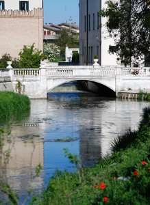 primavera a mogliano