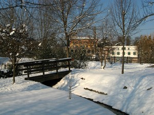 All’Isola Borromeo