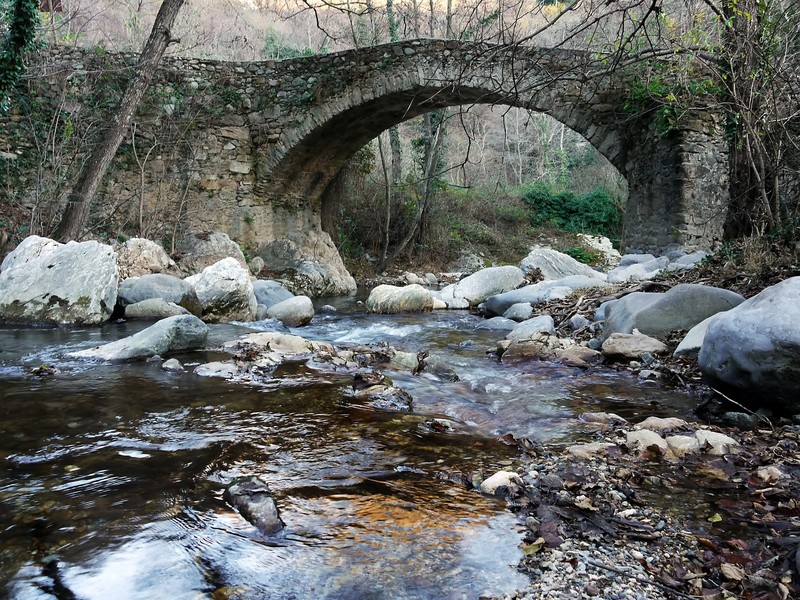 ''quante cose avrebbe da raccontare…..'' - Erli