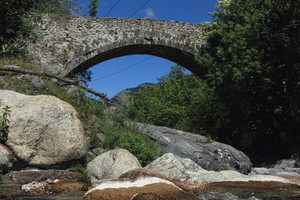 Ponte ROMANO