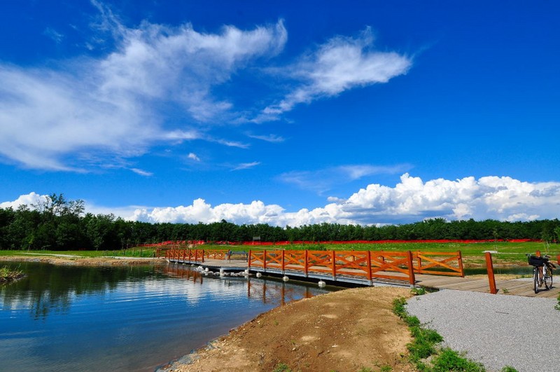 ''Una bella giornata'' - Lainate