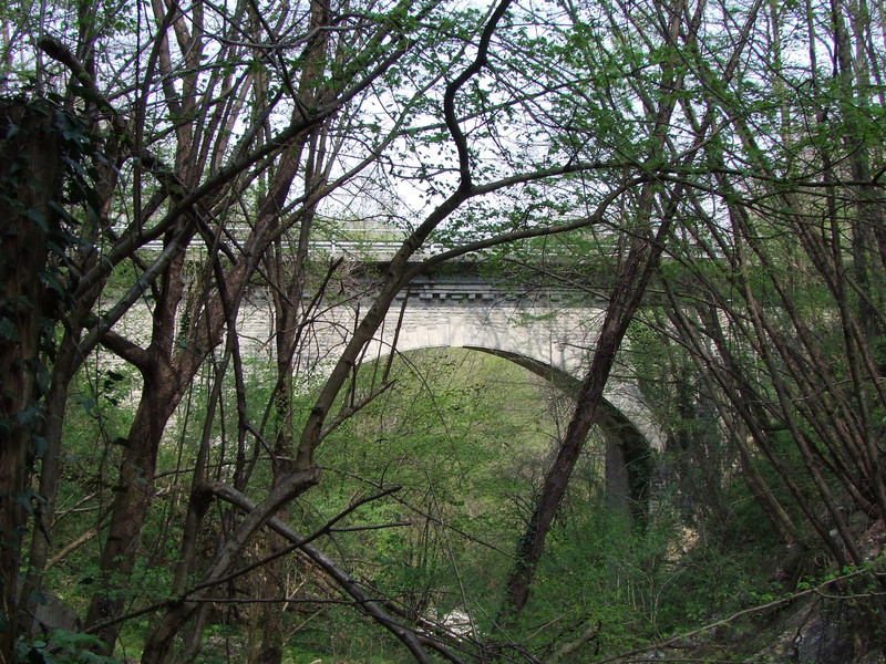 ''Il ponte sul Torrente Golotta'' - Varsi
