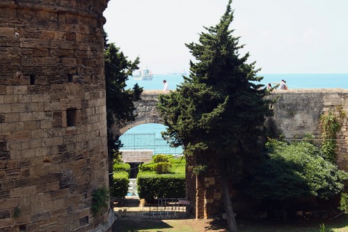 85165-800x534 85165-800x534