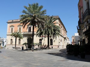 Tre palme in Piazza