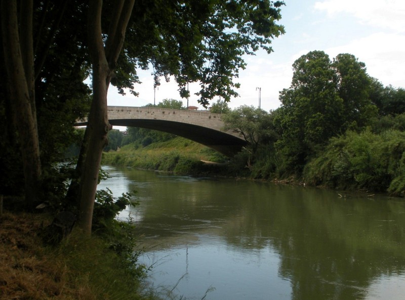 ''Ponte Testaccio immerso nel verde'' - Roma