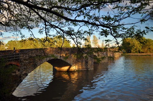 85633-800x531 85633-800x531