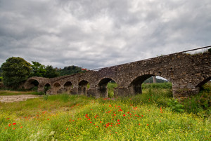 Papaveri rossi sotto il ponte antico