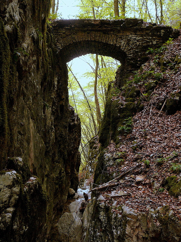 ''Ponticello romano su Rio Madonetta'' - Farra d'Alpago