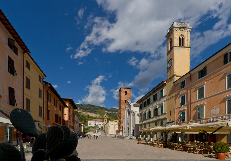 ''Fichi d’india'' - Pietrasanta