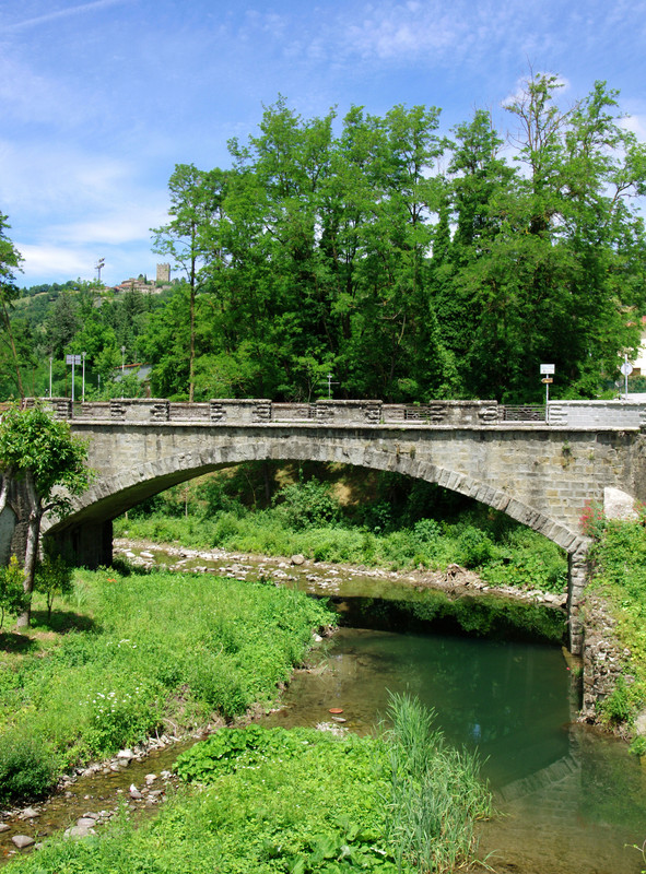 ''Ponte sull’Arno neonato'' - Stia