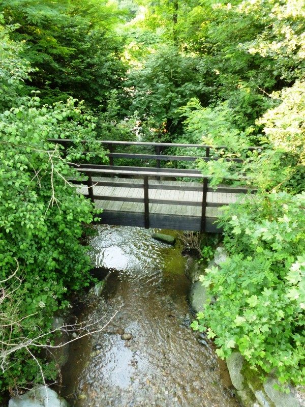 ''Nel parco ” Lanza”'' - Cagno