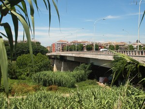 Il lungo Ponte Marconi