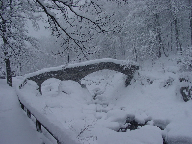 ''Ponte della Coda'' - Piedicavallo
