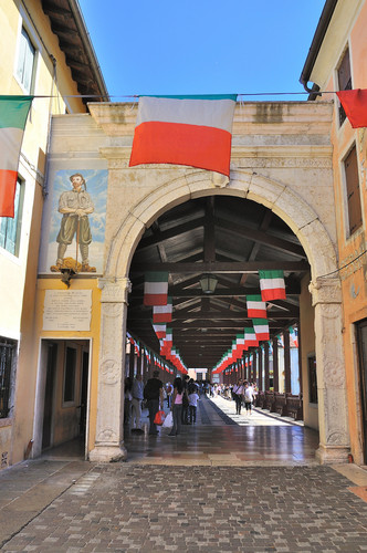 87661-531x800 87661-531x800