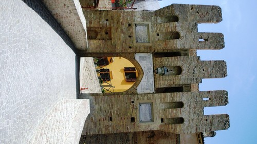 88646-800x450 88646-800x450