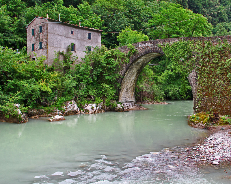 ''Nascosto tra le foglie'' - Bagni di Lucca