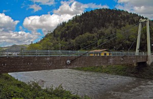 Ponte F.Picchi