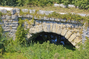 Riflessi in una pozza