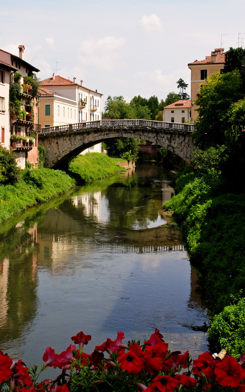 ''fiori rossi per un bel ponte'' - Vicenza