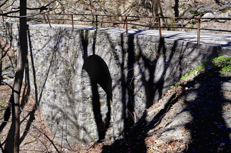 ''Ponte di pietra sulla via per Belviso'' - Aprica