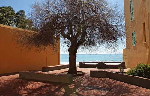 90963-800x512 90963-800x512