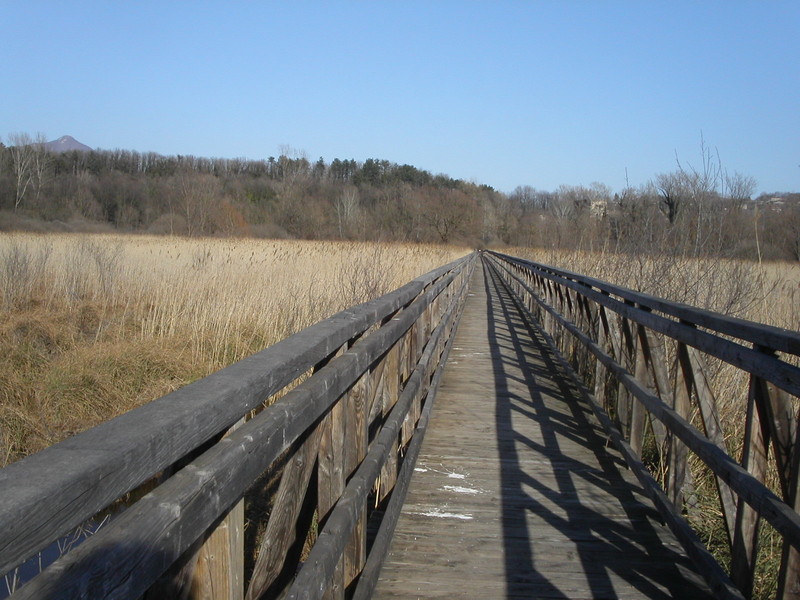 ''Avigliana … nella palude dei Mareschi'' - Avigliana