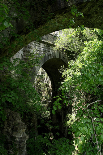 100482-533x800 100482-533x800