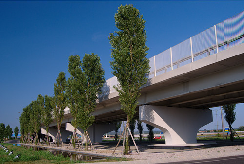 100973-800x540 100973-800x540