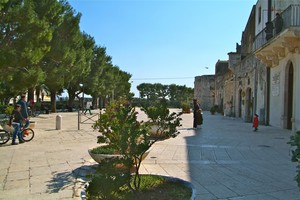 Tra Mura ed Alberi di Pino!