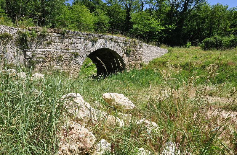 ''un ponte ritrovato – nascosto dalle pietre e dall’erba'' - Roviano