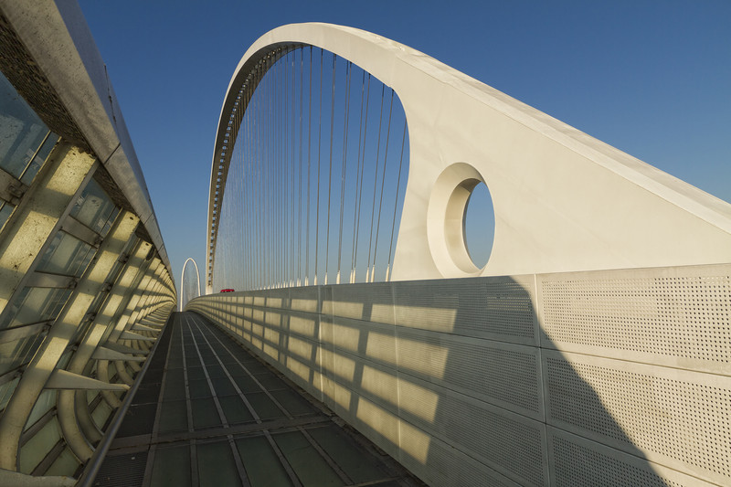 ''L’Arpa di Reggio'' - Reggio Emilia