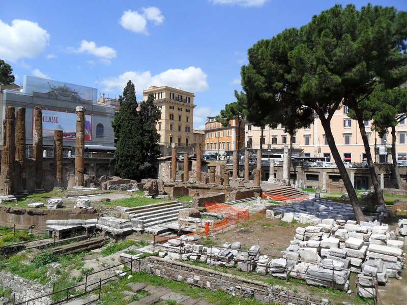 ''La Piazza dei gatti.'' - Roma